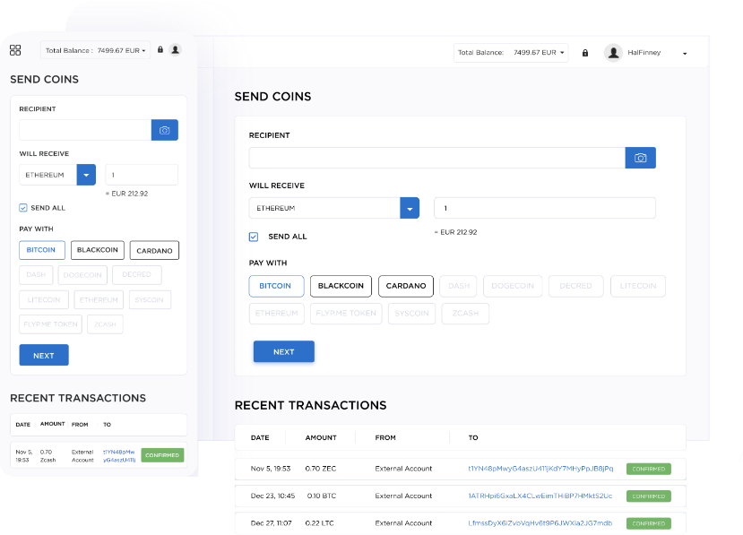 Hybrid Platform Development